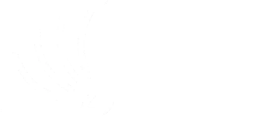My Book Writers